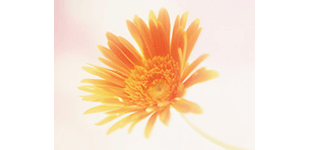 カットサロン・ベルタロゴ