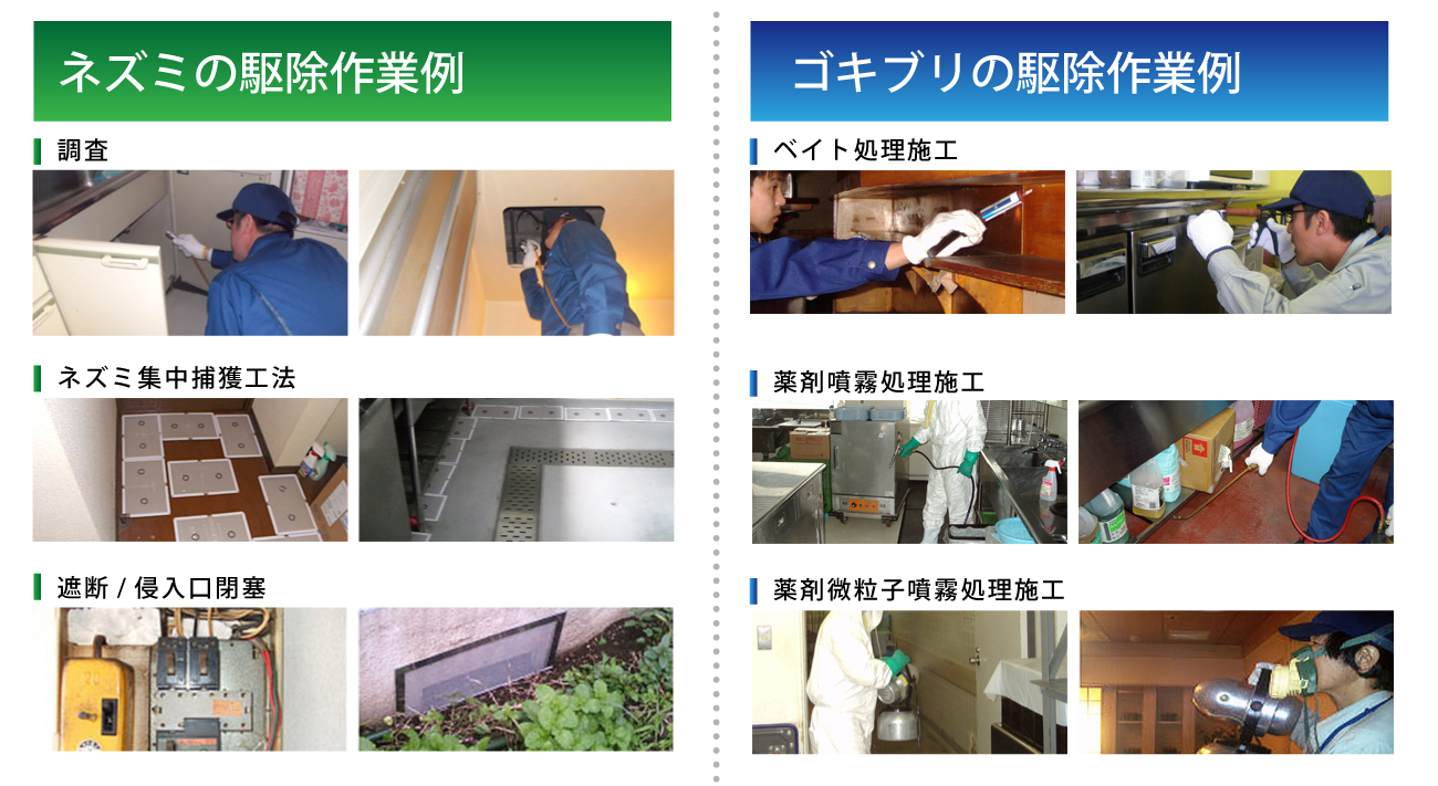 ネズミ・ゴキブリの駆除作業例