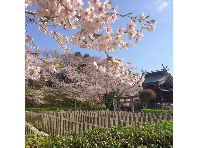 桜山神社