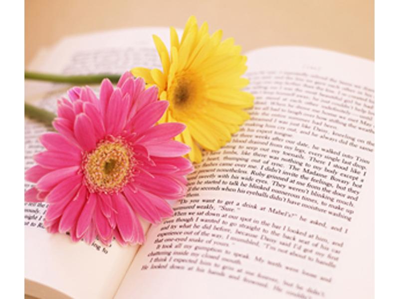 鶴岡市 石井歯科医院