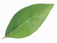 青葉ゼミナールロゴ