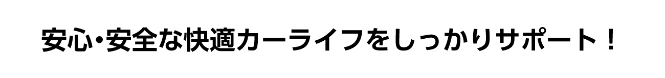 ザーレンの鹿児島総代理店