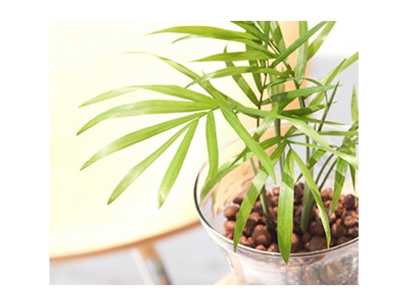 土曜診療有/電話予約可