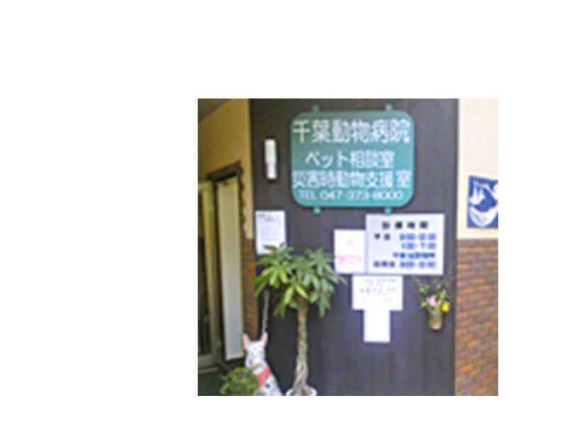 市川市国府台 往診 休日診療有(日・祝) 動物病院