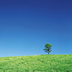 株式会社中央衛生ロゴ