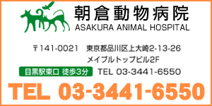 朝倉動物病院ロゴ
