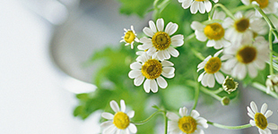 田丸小児科内科医院ロゴ