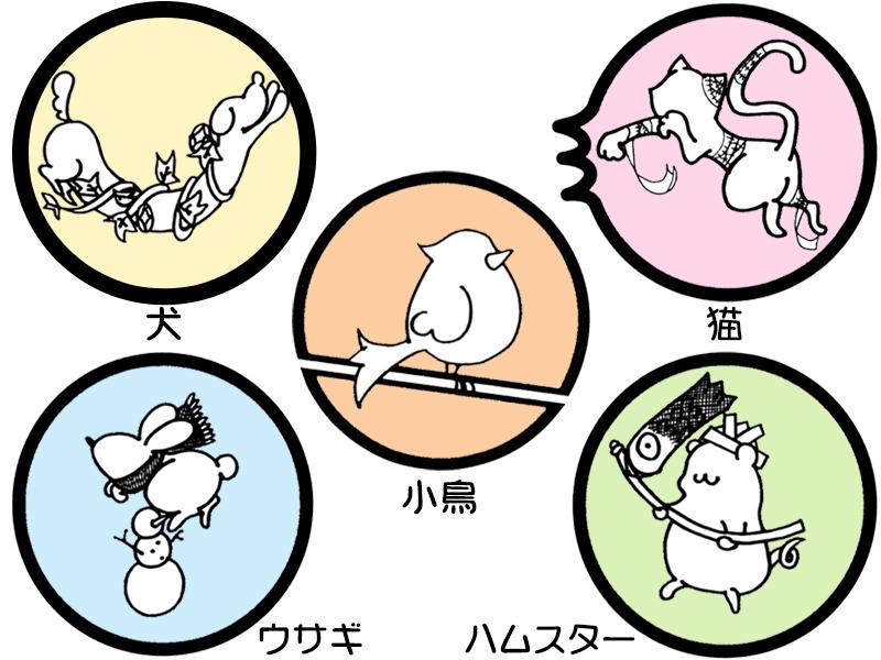 犬、猫、小鳥、ウサギ、ハムスター とよおか動物病院