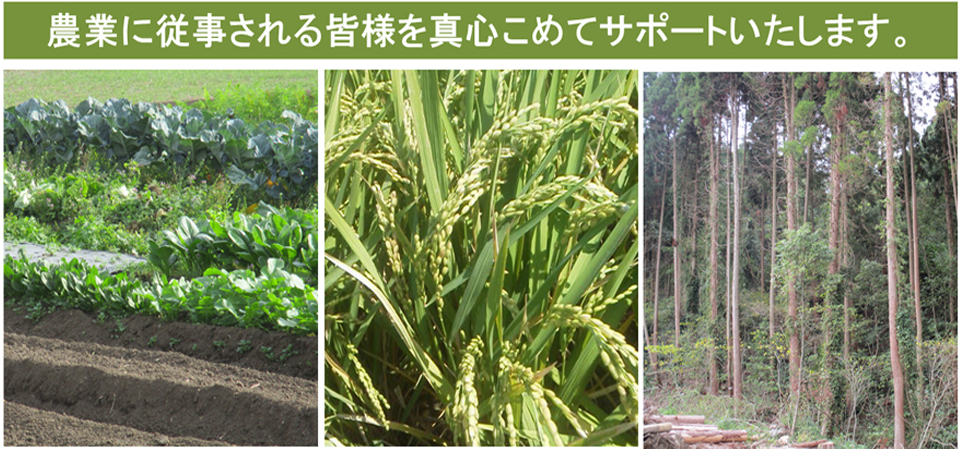 佐賀県唐津市　西部部品が貴方のをサポート。