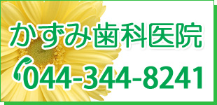 かずみ歯科医院ロゴ