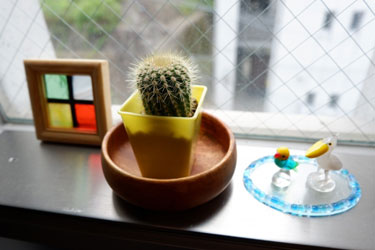 菅沼硝子店ロゴ